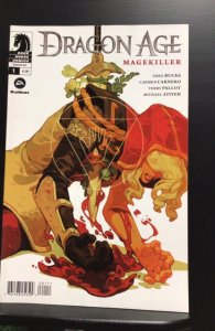 Dragon Age: Magekiller #1 (2015)