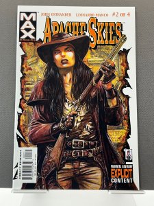Apache Skies #2 (2002)