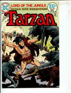 Tarzan-#226-1973-DC-BRONZE-AGE-Joe Kubert-NM-