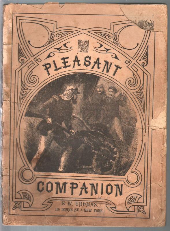 Pleasant Companion 1879-Idle Hour-People's Magazine-adventure stories-FR