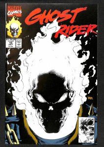 Ghost Rider (1990) #15 Glow in the Dark Cover!