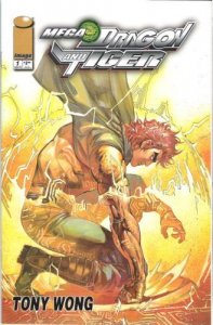 Mega Dragon and Tiger #1 (1999)