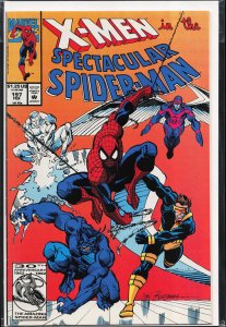 The Spectacular Spider-Man #197 (1993) Spider-Man