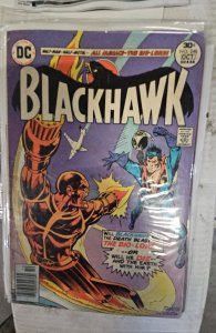 Blackhawk #248 (1976)