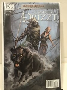 Dungeons & Dragons: The Legend of Drizzt: Neverwinter Tales #3 (2011)