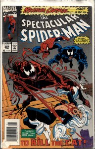 The Spectacular Spider-Man #201 (1993) Spider-Man