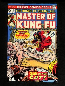 Master of Kung Fu #38