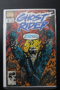 Ghost Rider #23 Direct Edition (1992)
