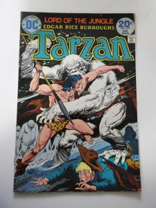 Edgar Rice Burroughs' Tarzan #227 (1974)