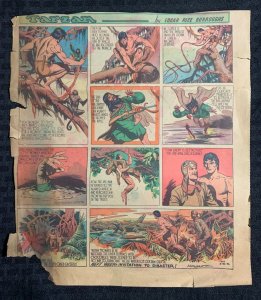1942 Aug 30 TARZAN Sunday Color Comic Strip by Hogarth GD 2.0 Size 11x12