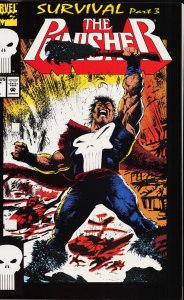 The Punisher #79 (1993) Punisher
