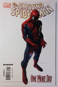 The Amazing Spider-Man #544 (9.2, 2007) Variant Cover