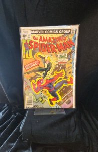 The Amazing Spider-Man #168 (1977) Spider-Man 