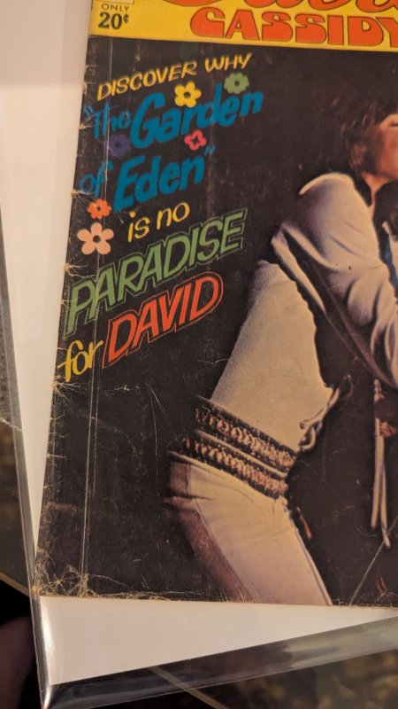 David Cassidy #10 (1973)