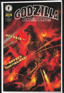 Godzilla King of the Monsters #0 (1995) Godzilla