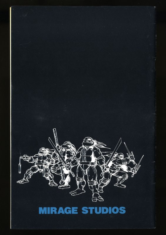 Teenage Mutant Ninja Turtles #13 VF 8.0