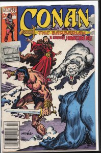 Conan the Barbarian #258 (1992) Conan