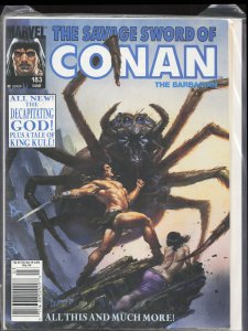The Savage Sword of Conan #183 (1991) Conan
