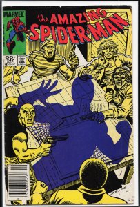 The Amazing Spider-Man #247 (1983) Spider-Man