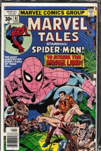 Marvel Tales #81 (1977) Spider-Man