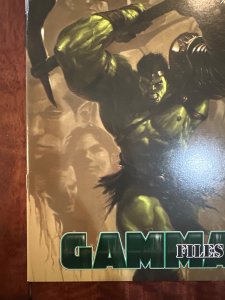 World War Hulk: Gamma Files (2007)