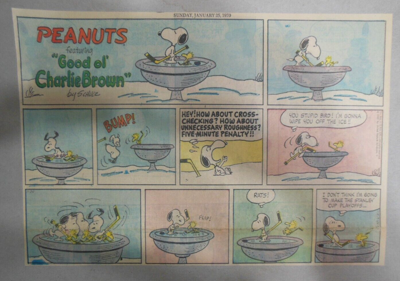 (48) Peanuts Sunday Pages by Charles Schulz from 1970 Size 11 x 15