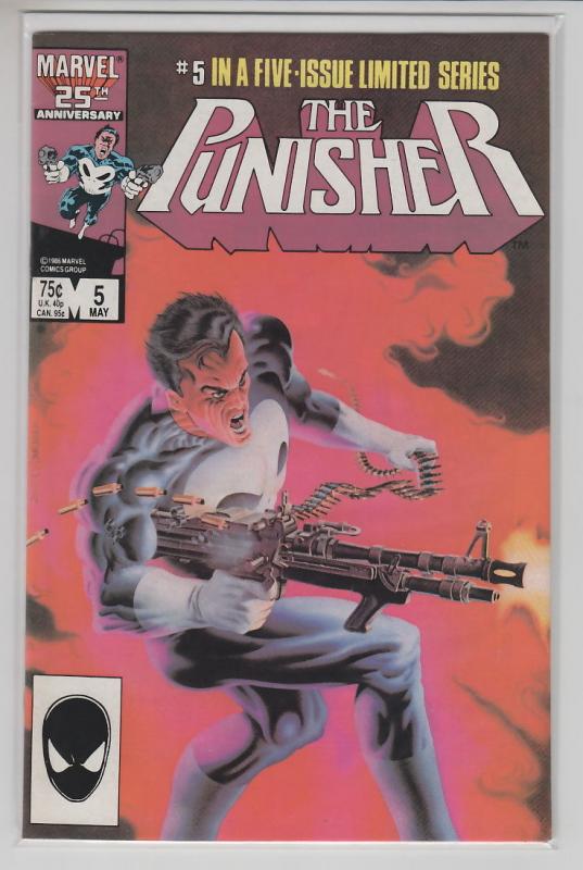PUNISHER LIMITED SERIES 5 ISSUE SET 1-5 ALL NM-/NM