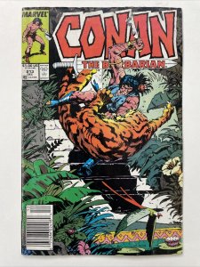 Conan The Barbarian 213   Newsstand Edition