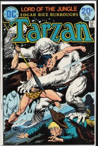 Edgar Rice Burroughs' Tarzan #227 (1974)