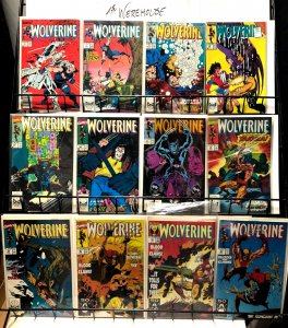 WOLVERINE  Instant Collection 80 diff 2-151 great survey  1988-2009 SWB