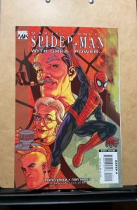 Spider-Man: With Great Power... #2 (2008)