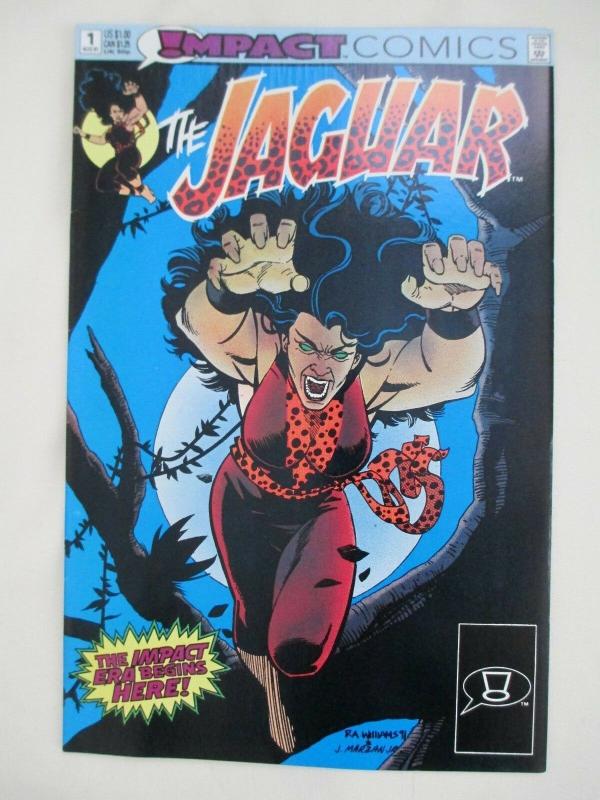 IMPACT COMICS LOT OF 12 - JAGUAR, FLY, WEBB, CRUSADERS, COMET