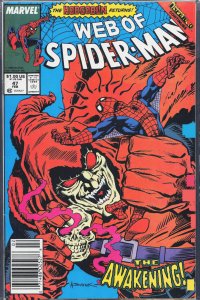 Web of Spider-Man #47 (1989) Spider-Man