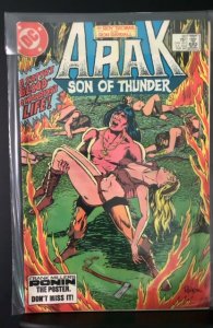 Arak, Son of Thunder #30 (1984)