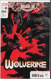 Wolverine #24 (2022) Wolverine