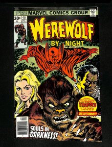 Werewolf By Night #40