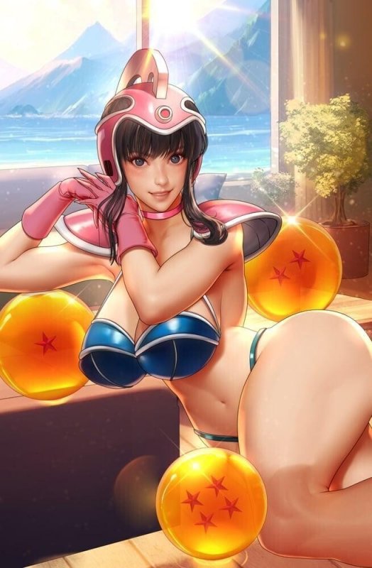 Chi Chi Dragon Ball Z Cosplay 5 Book Set by Bearwitch BooKoo Bear Babes