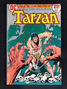 Edgar Rice Burroughs' Tarzan #224 (1973)