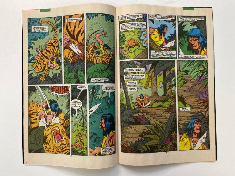 Conan The Barbarian 213   Newsstand Edition