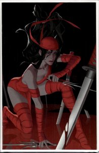 Daredevil: Gang War #1 Virgin Cover (2024)