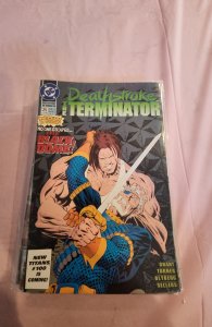 Deathstroke the Terminator #25 (1993)