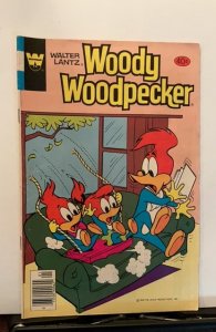 Walter Lantz Woody Woodpecker #186 (1980)