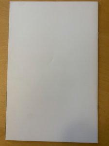 Zombie Tramp 13 BLACK VARIANT COVER ANNIVERSARY NM+ (9.4 - 9.6)