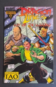 Dragon Lines: The Way of the Warrior #1 (1993)