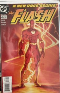 The Flash #207 (2004)