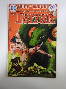 Tarzan #228 (1974)