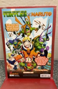 Teenage Mutant Ninja Turtles #4 Cover RI 1/25