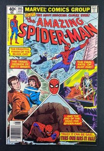 Amazing Spider-Man (1963) #195 NM (9.4)