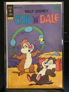 Chip 'n' Dale #42 (1976)