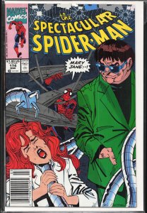 The Spectacular Spider-Man #174 (1991) Spider-Man